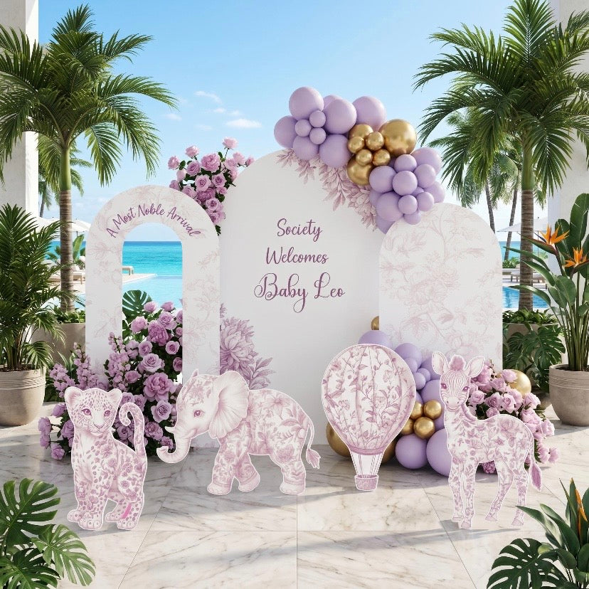 Backdrop Set - Pink Toile